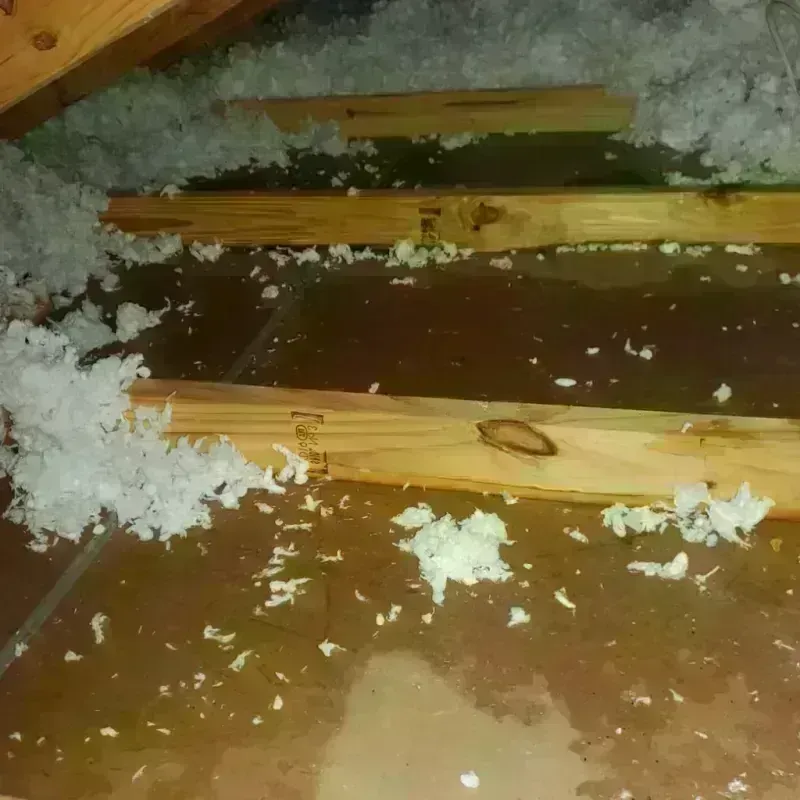 Attic Water Damage in Boydton, VA